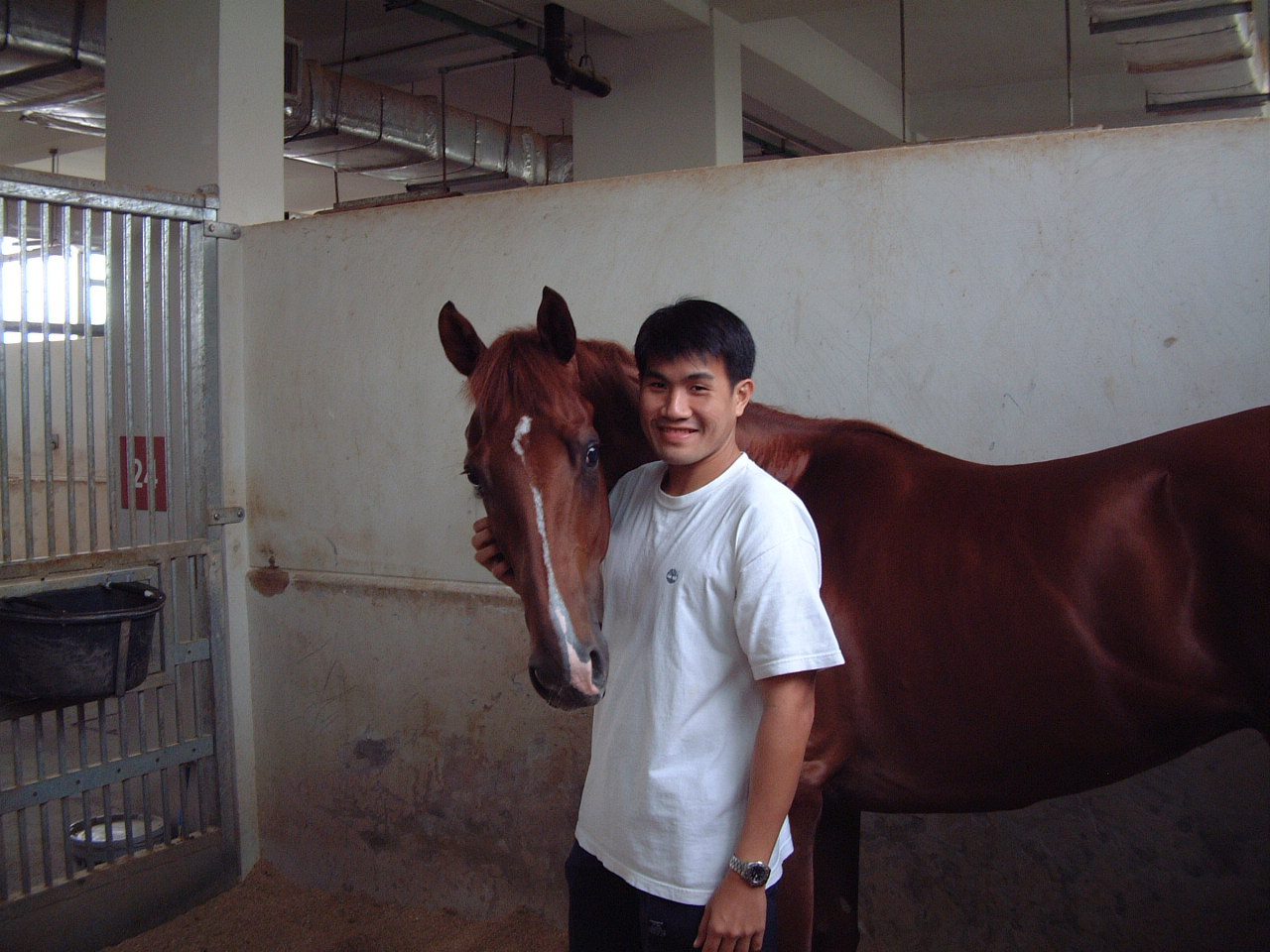 Jerome and the racehorse See Señor