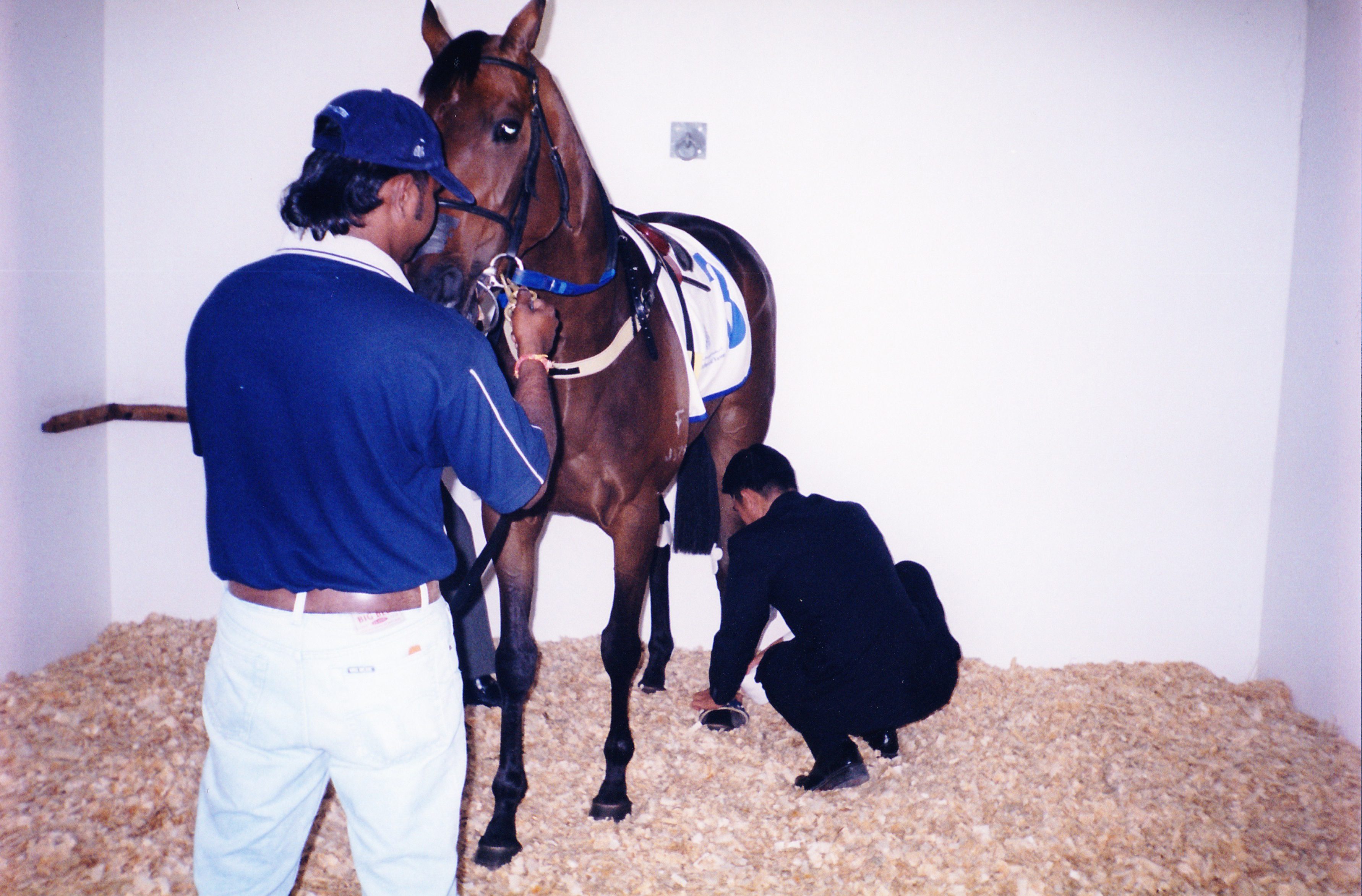 Me getting Ouzo all ready for his big race.