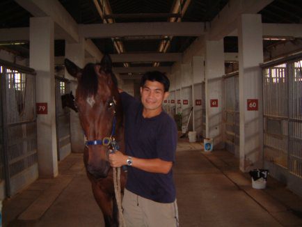 Patrizio the racehorse