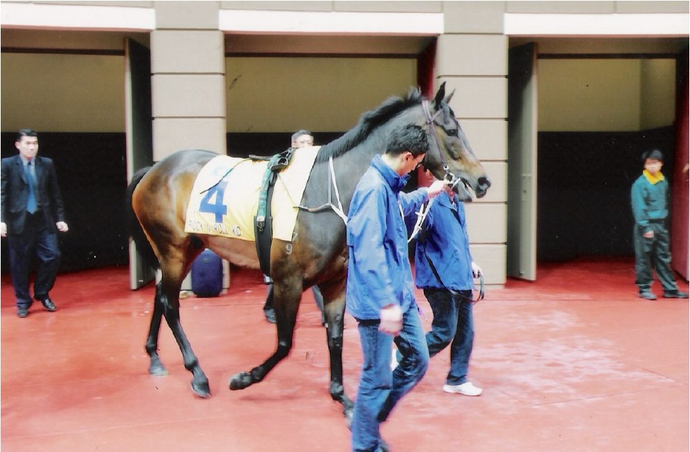 The Rock and Roll kid in Hong Kong at Shatin race course.